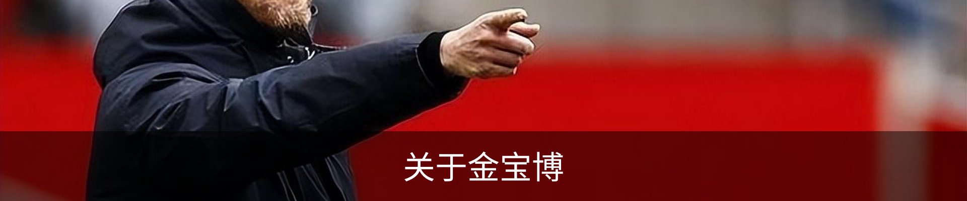 关于金宝博