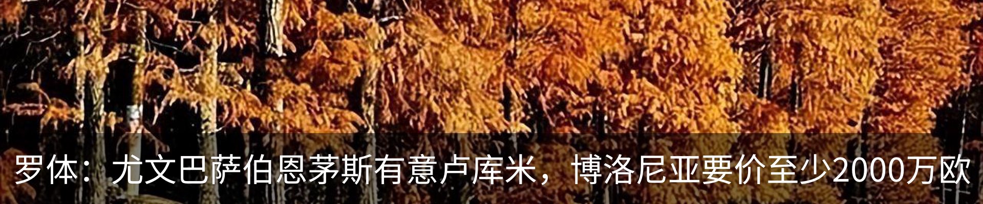 资讯动态